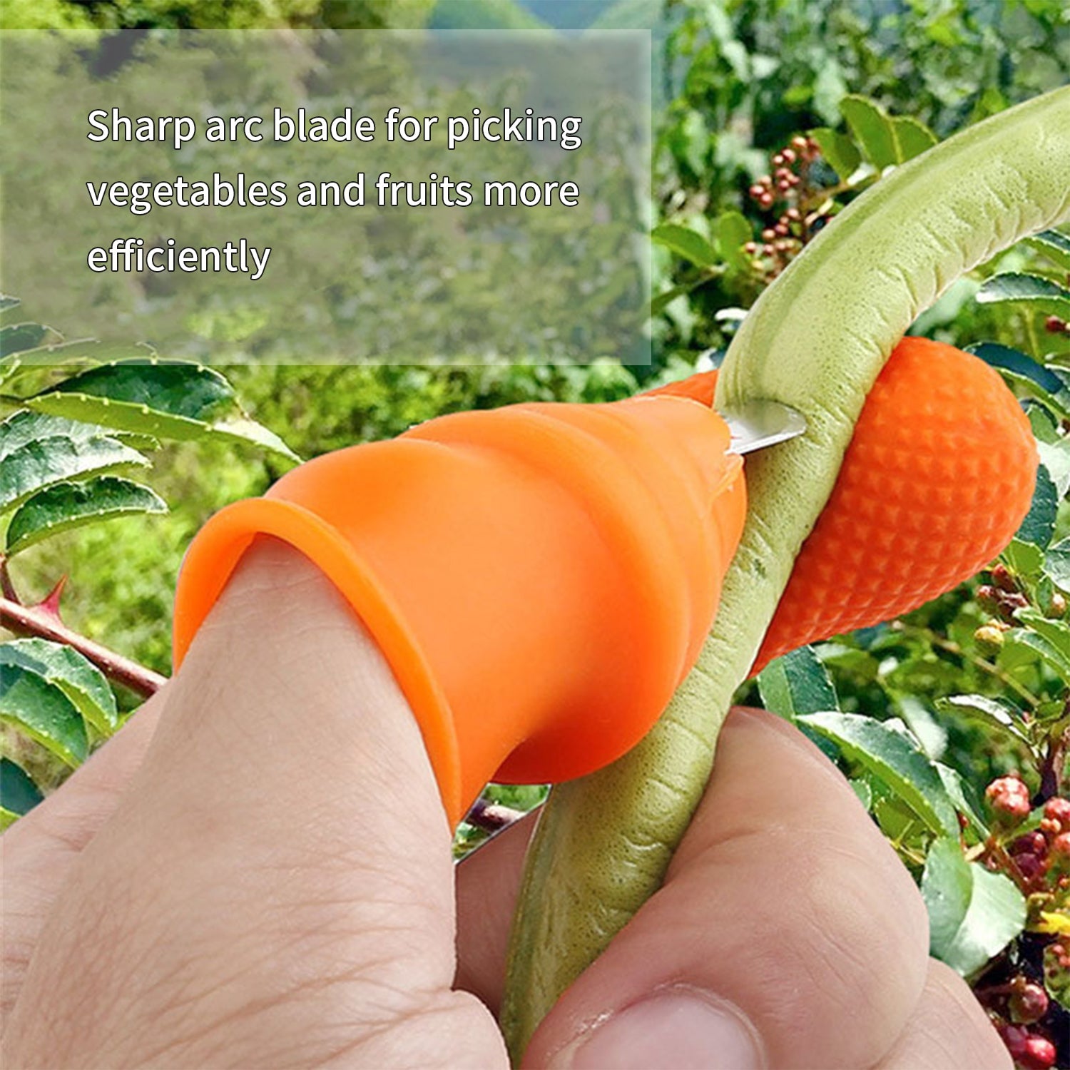 2766 Vegetable Thumb Cutter and tool 5pc Set with effective sharp cutting blade System DeoDap 2766 Vegetable Thumb Cutter and tool 5pc Set with effective sharp cutting blade System DeoDap